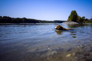 How the hard reality of climate change hit Europe's economy this summer