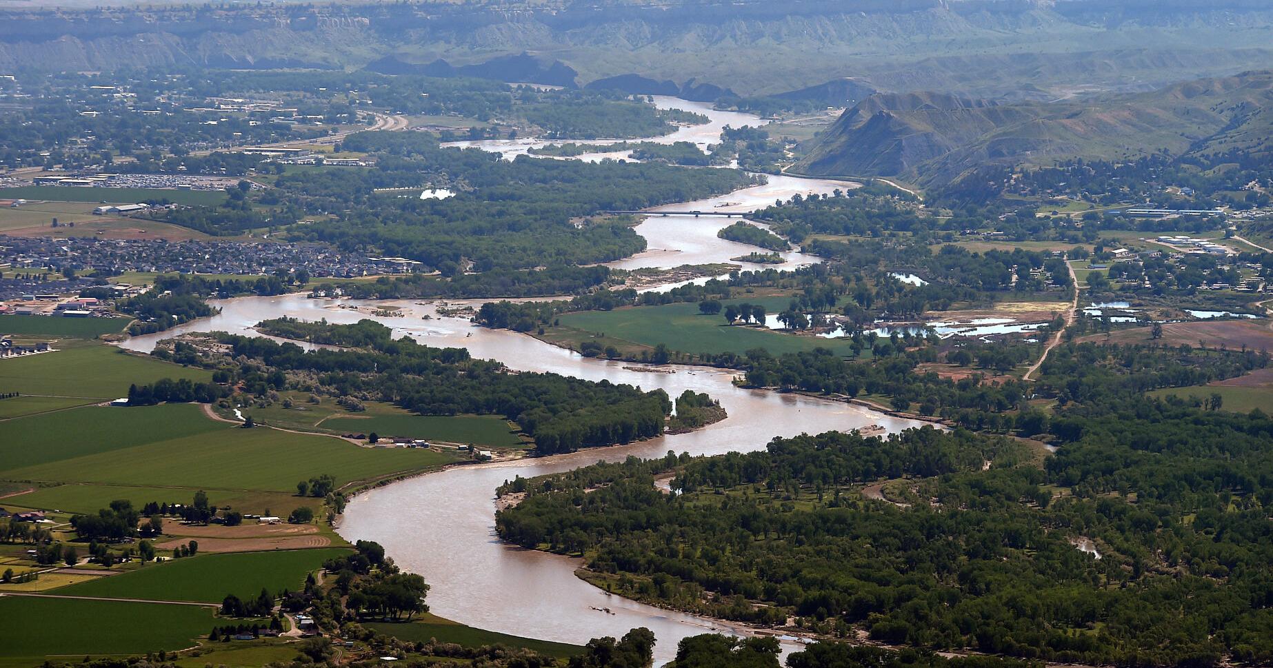 Missouri River flow test delayed for pallid sturgeon - Vimarsana News