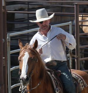 Duncan Vezain horse gelding