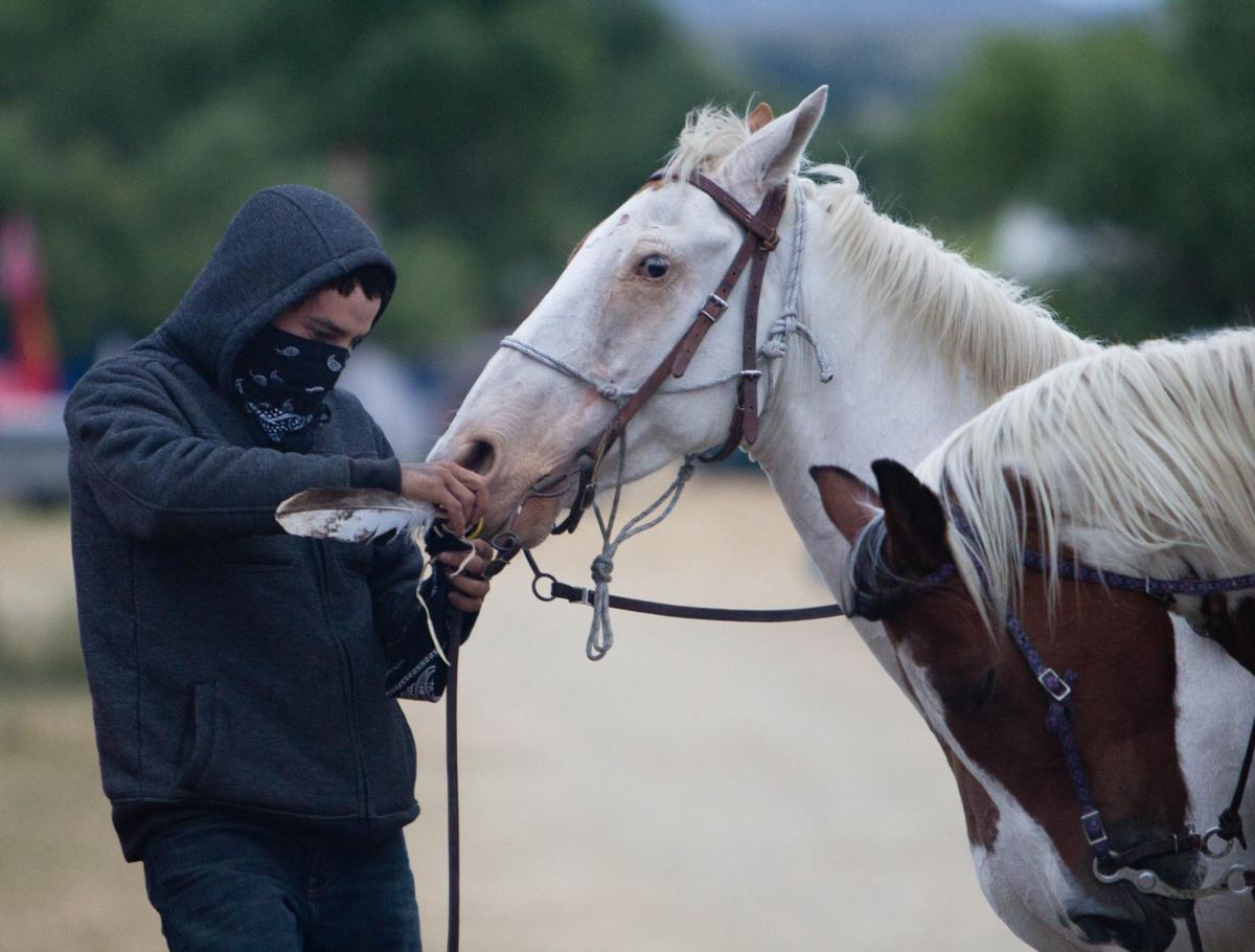 Protester and his horse