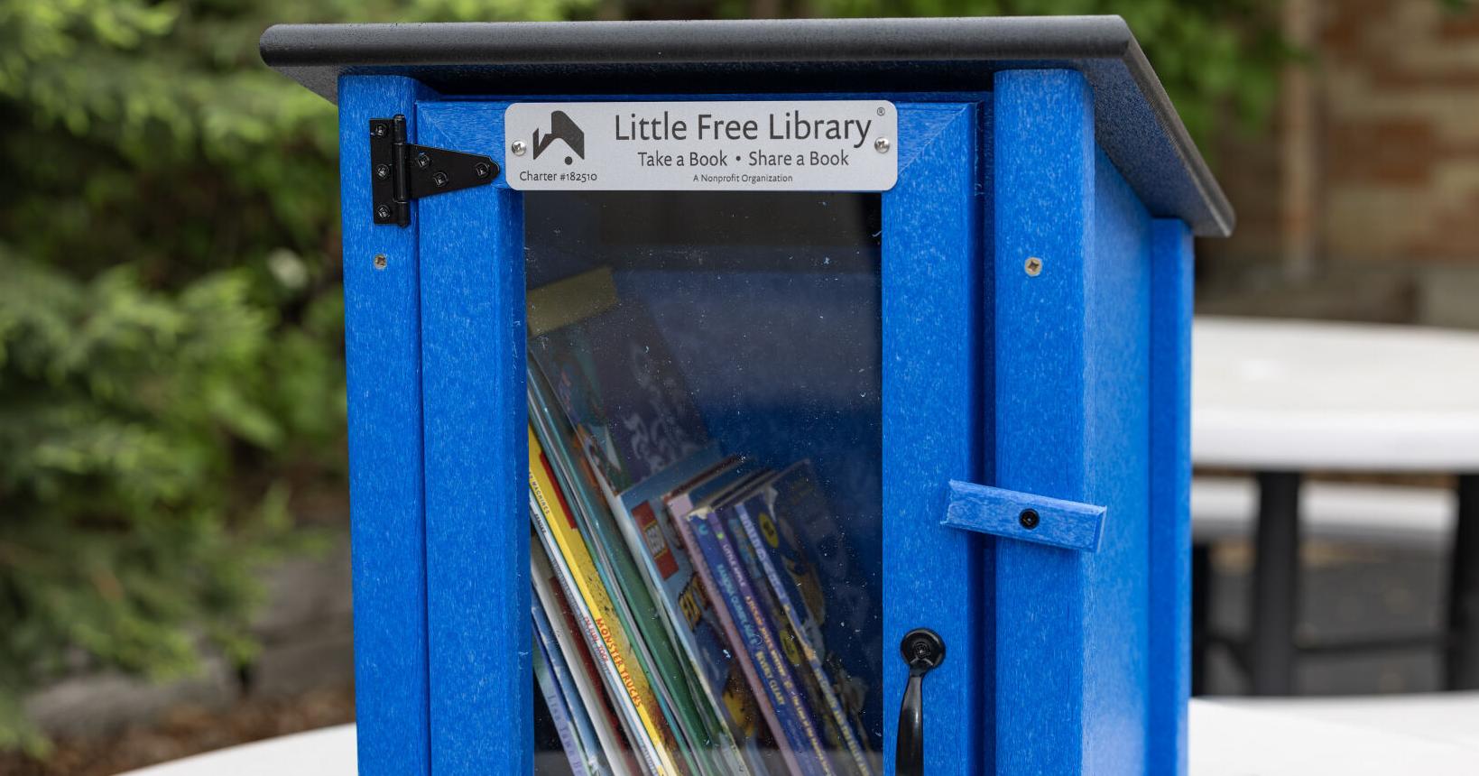 Bench Elementary installs Free Little Library for summer - Vimarsana News