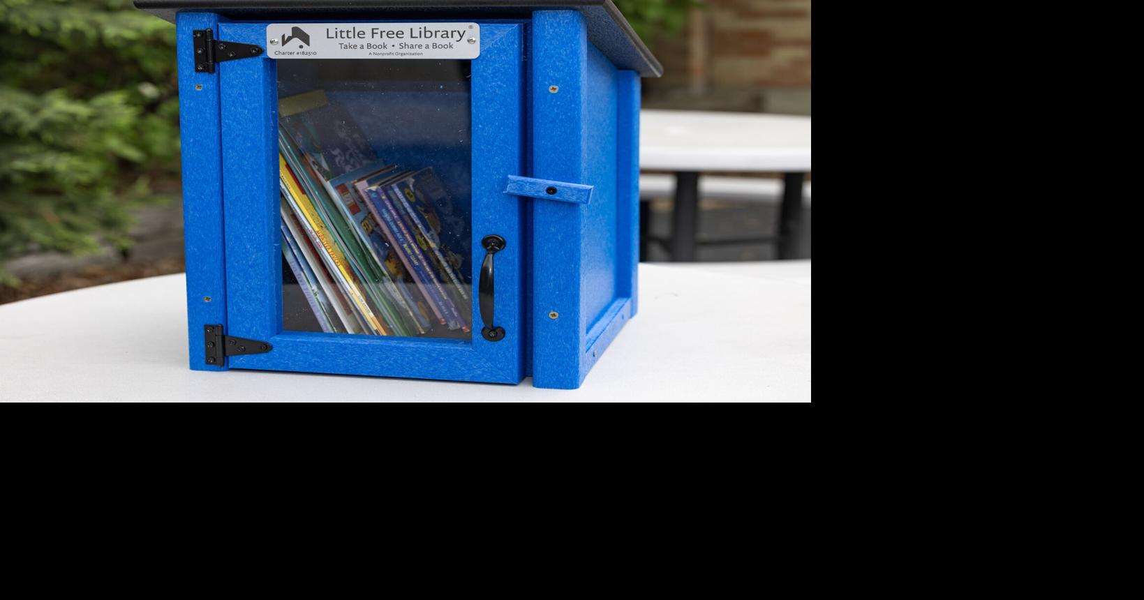 Bench Elementary installs Free Little Library for summer