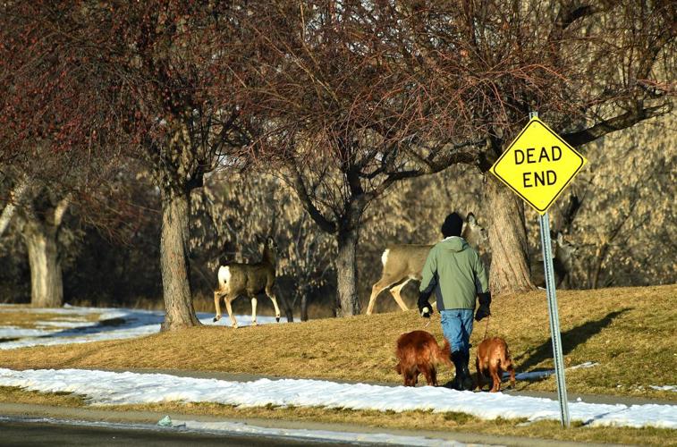 Colstrip residents face uncertain future as pressures build on coal