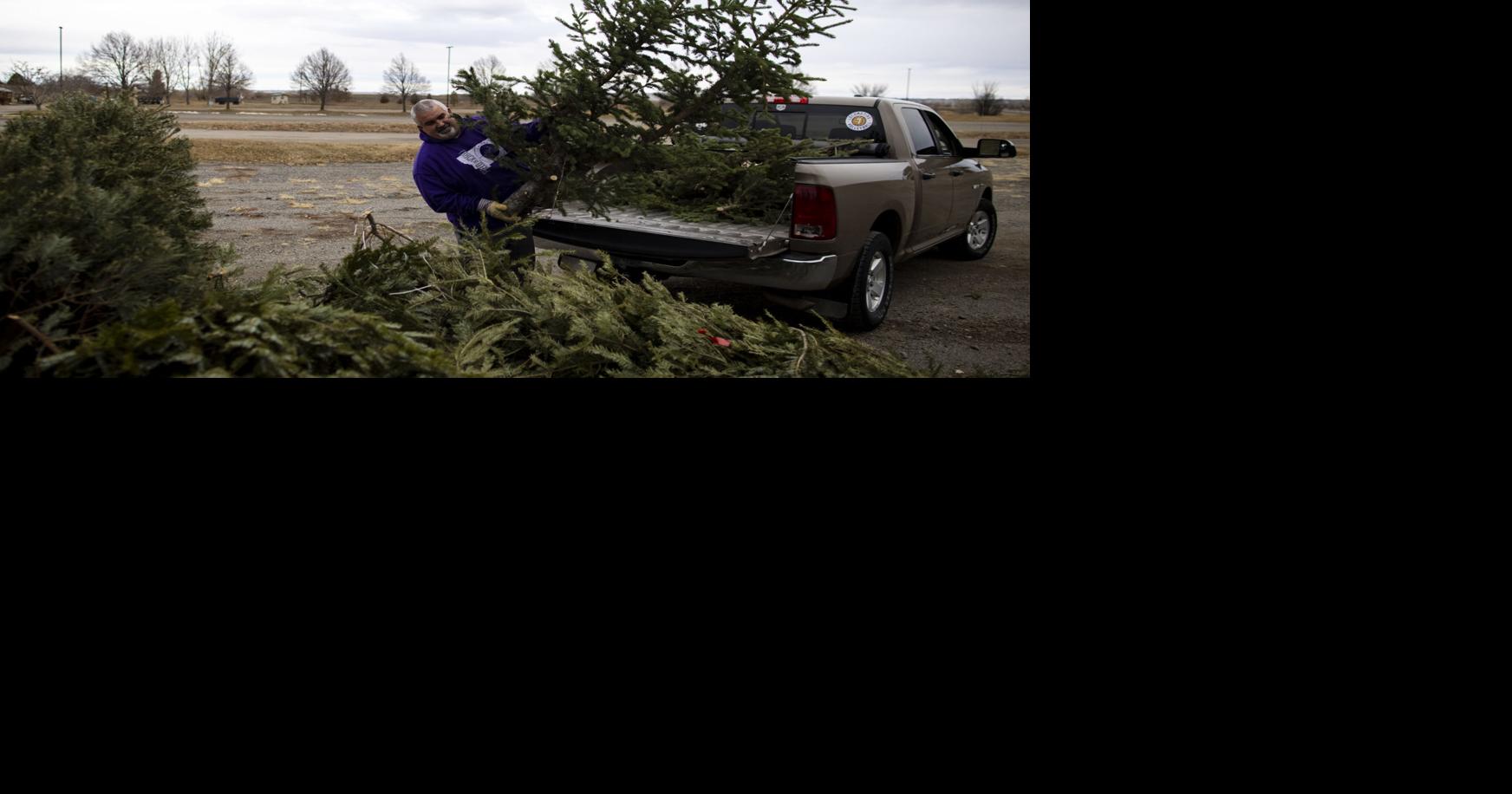 Christmas tree recycling in Billings set to start Dec. 27