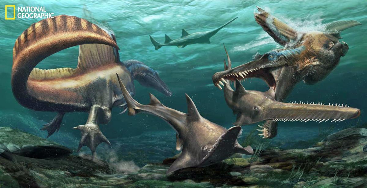 River Monster Fossils Rewrite Story Of Toothy Aquatic Dinosaur Outdoors Billingsgazette Com Stream river monsters free with your tv subscription! river monster fossils rewrite story of