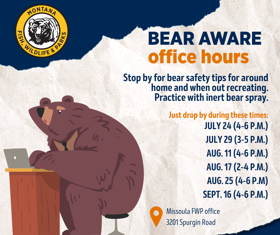FWP to host bear aware office hours in Missoula on set days July through September