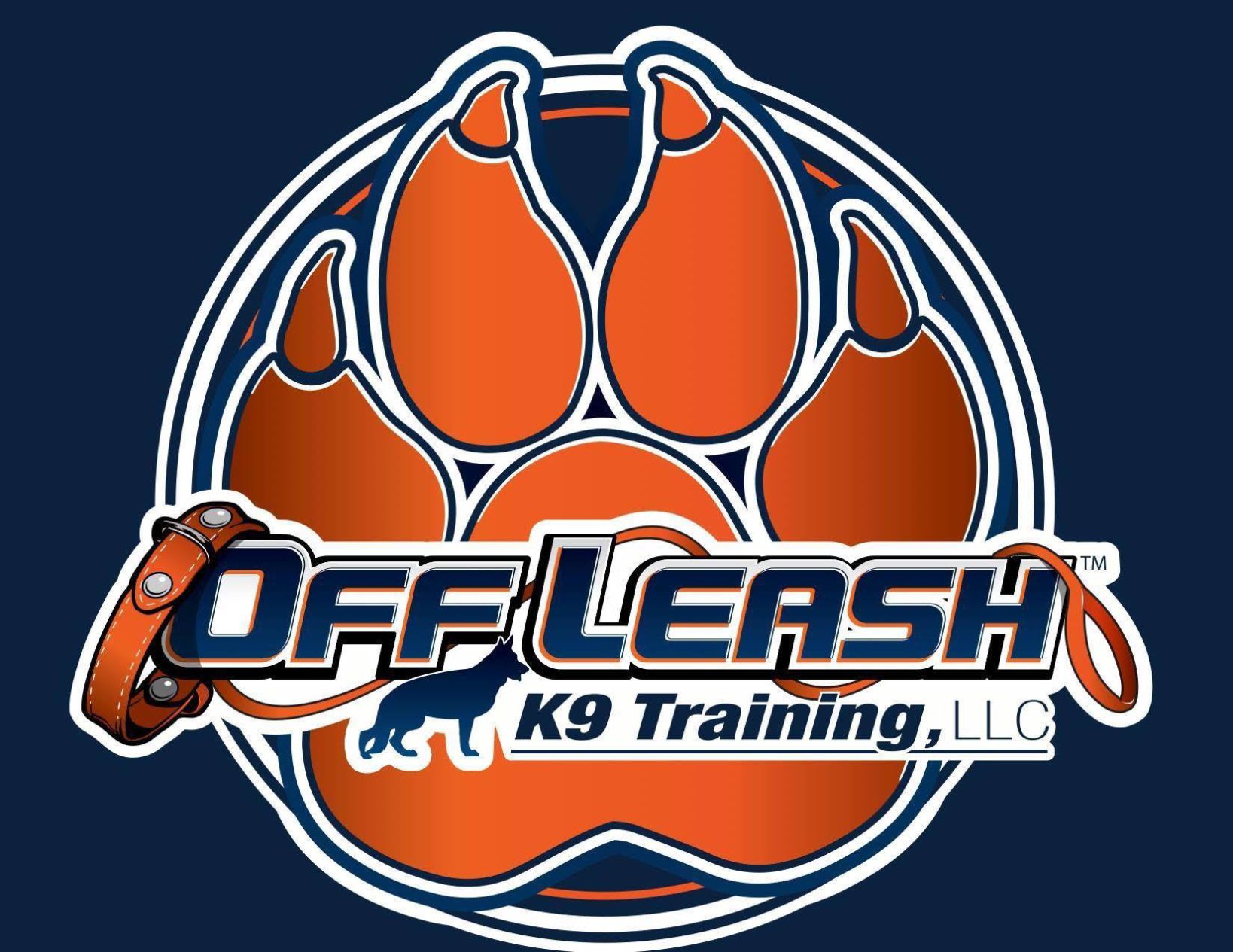 off leash canine training near me