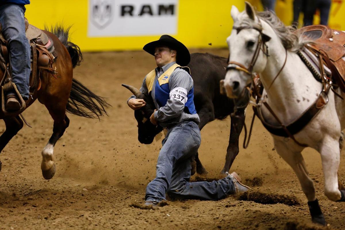 College Rodeo