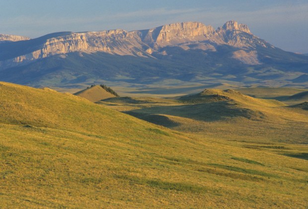 Sawtooth Reef