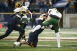 MSU NDSU フットボール