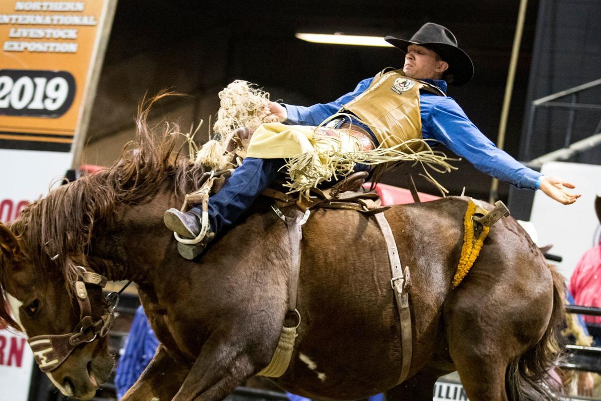 Hometown victory Houston Brown earns win at Miles City Bucking Horse