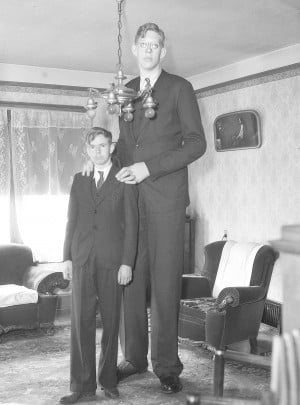 Robert Wadlow