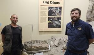 Fossil rescue