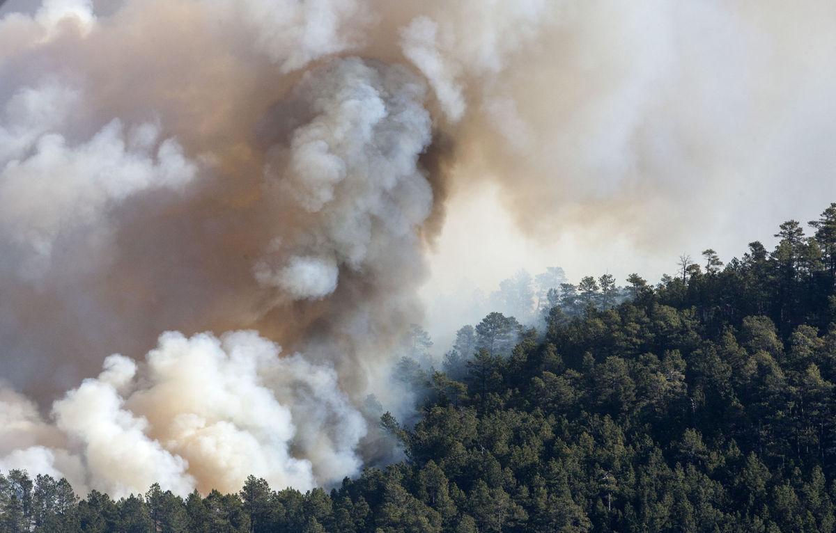 Black Hills fire