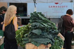 A summer of recalls exposes holes in the nation’s food safety net