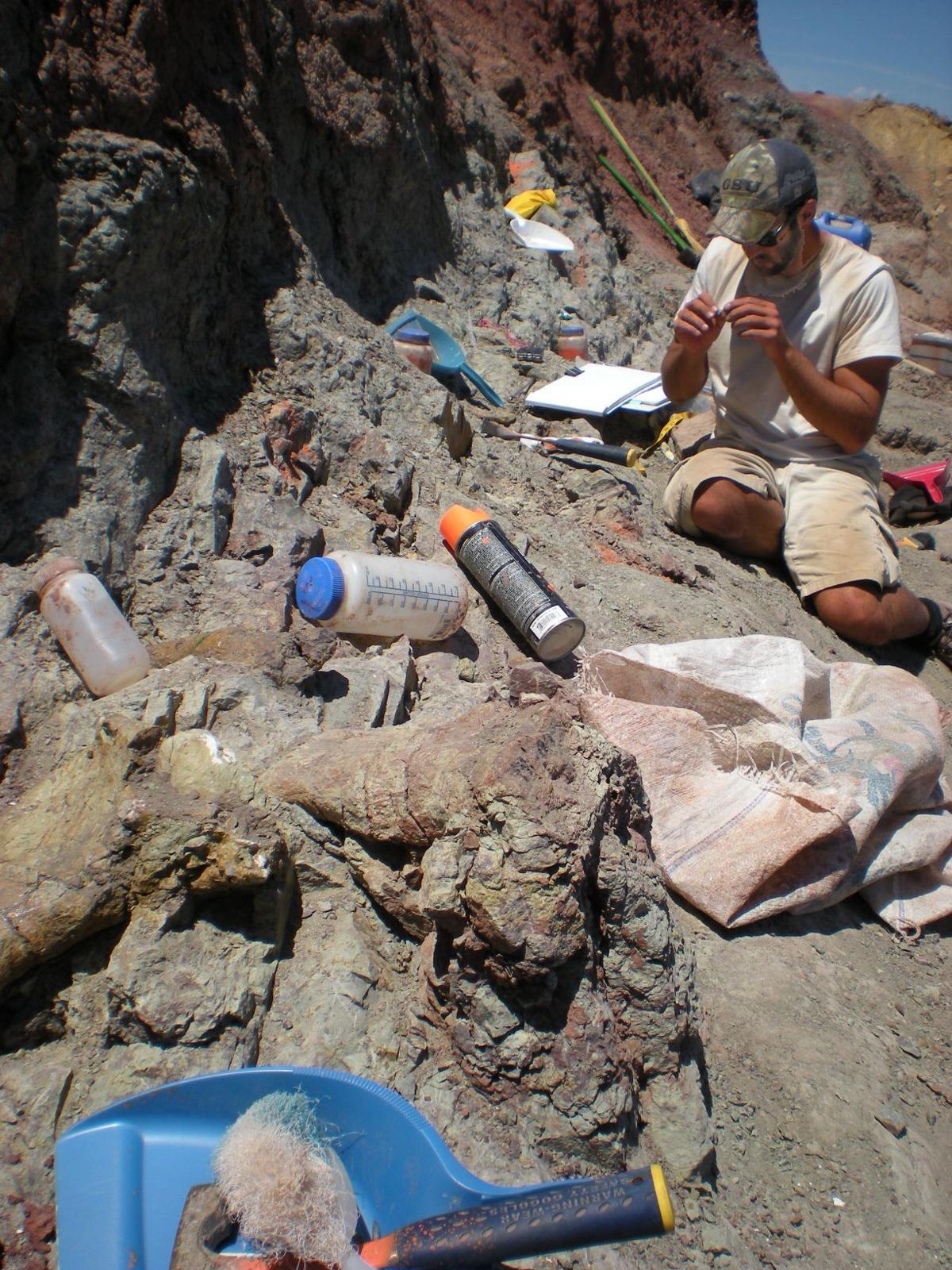 Dinosaur dig revealing insights to Montana 103 million years ago Montana News