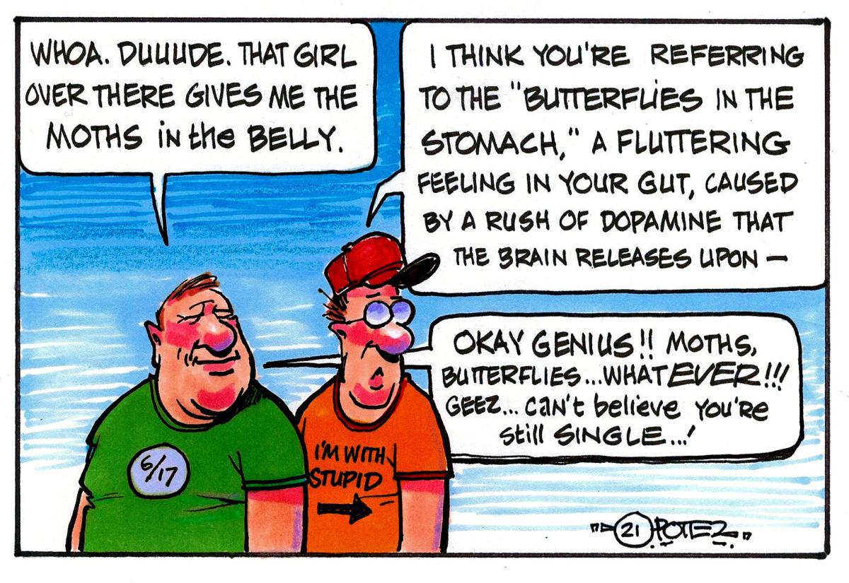 Moths vs. butterflies