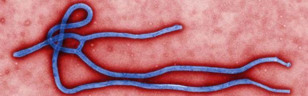 Ebola
