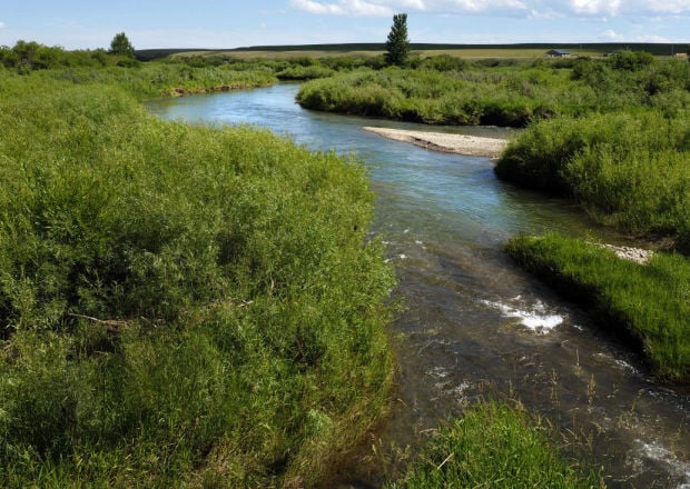 Roadside Wanderings In Northwest Montana 