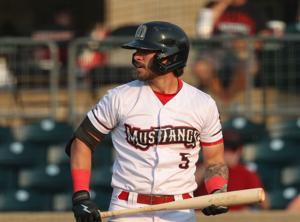Billings Mustangs vs. Idaho Falls Chukars
