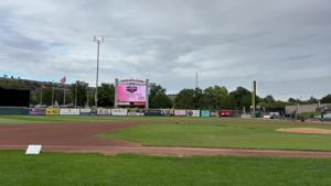 Highlights: Billings Mustangs wins Pioneer Baseball League Championship Series title