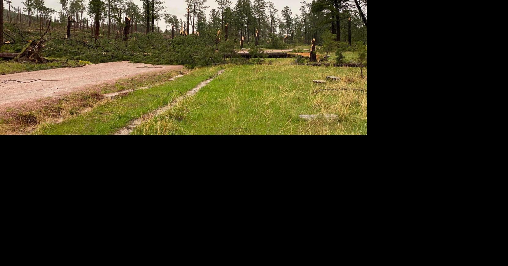 Crews clearing tornado damage in Black Hills National Forest