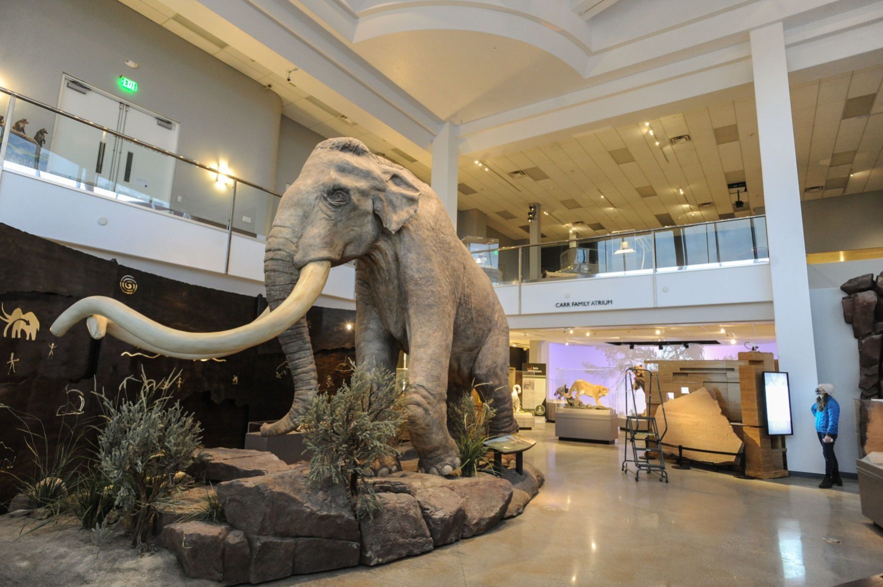 Collection of Ice Age discoveries finds home at Museum of Idaho