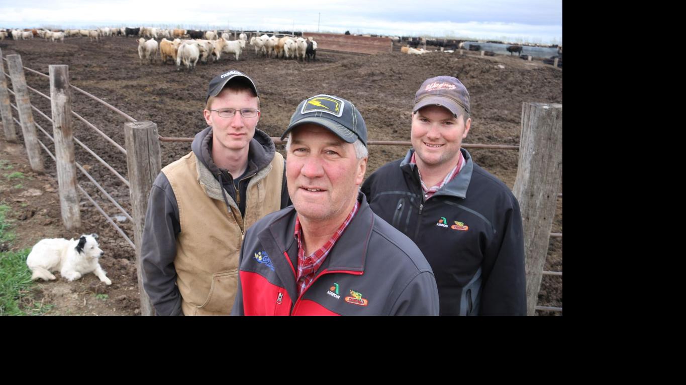Ag in the family Feedlot operation allows father, sons to maintain