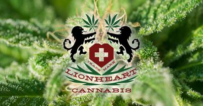 2022-03_Lionheart-1200x627