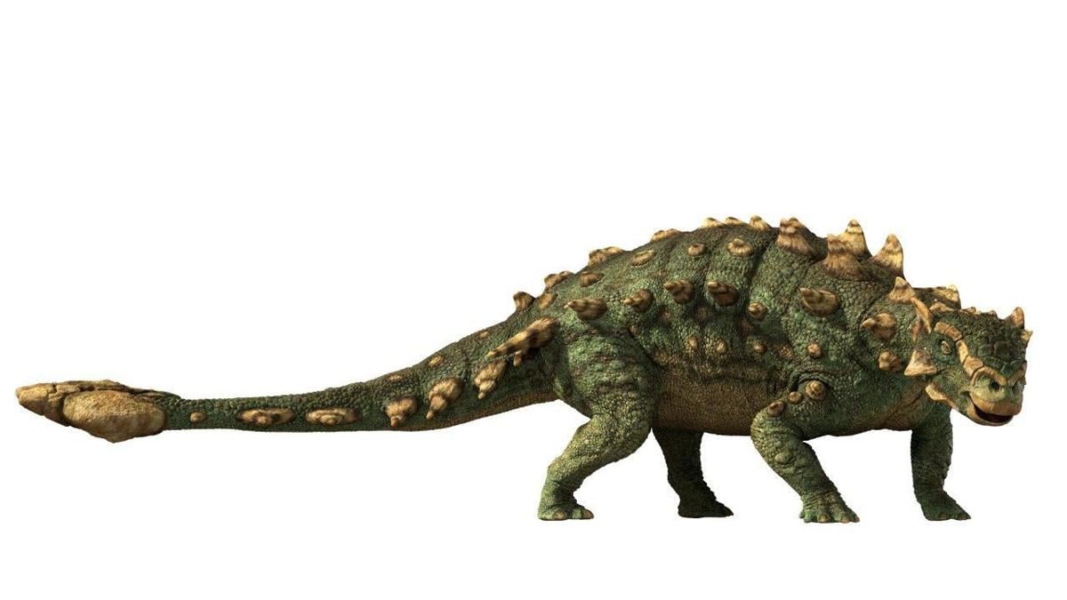 Zuul! Montana dinosaur makes big splash at Toronto museum | State & Regional | billingsgazette.com