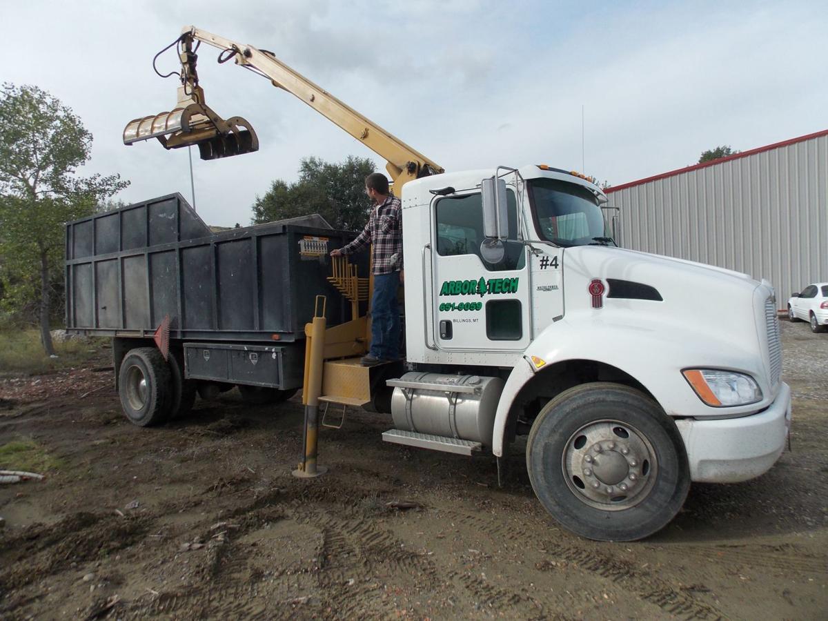 Arbor Tech Tree Service | tree care | tree pruning ...