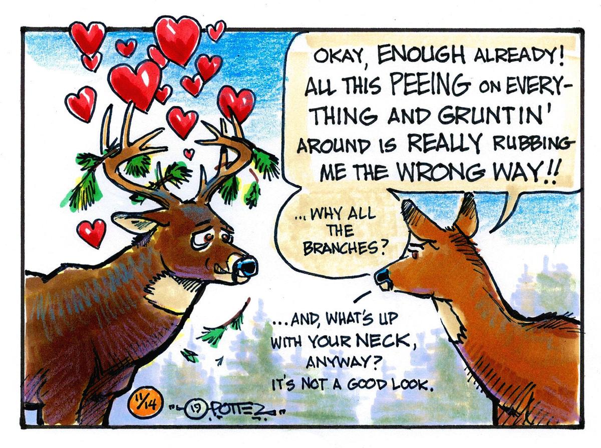 Rut madness