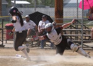 State B-C Softball Tournament in Billings on Friday