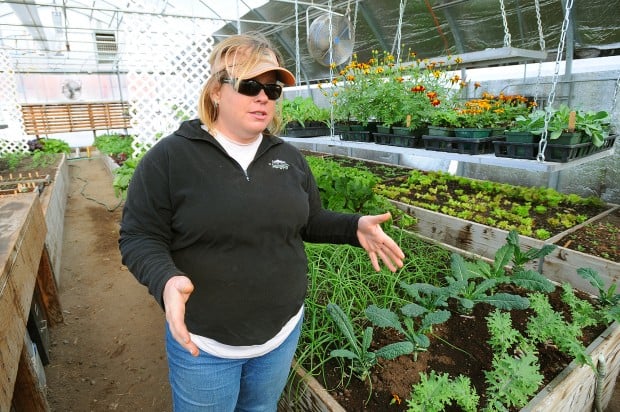 Greenhouse gets a jump start on organic crops