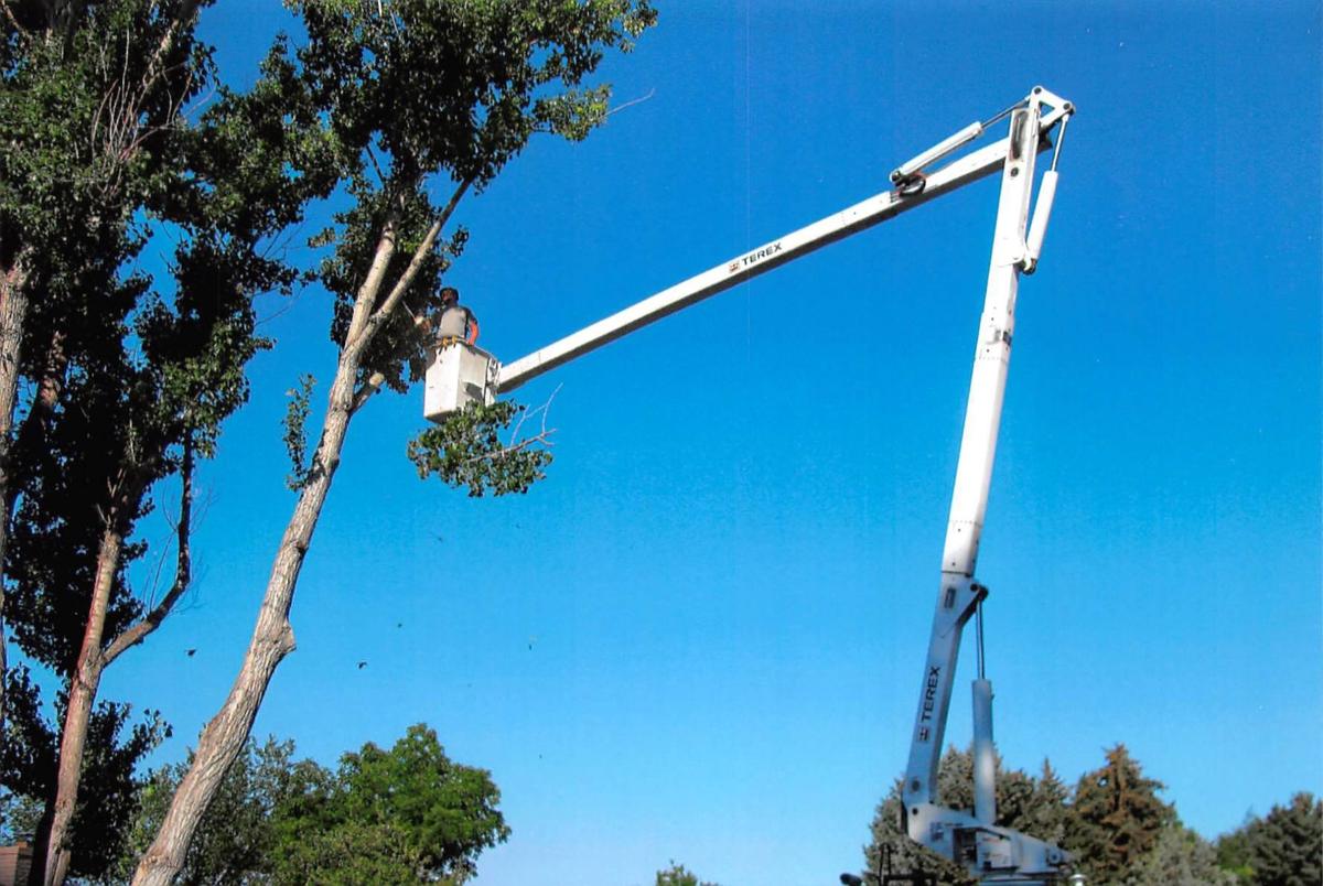 Arbor Tech Tree Service