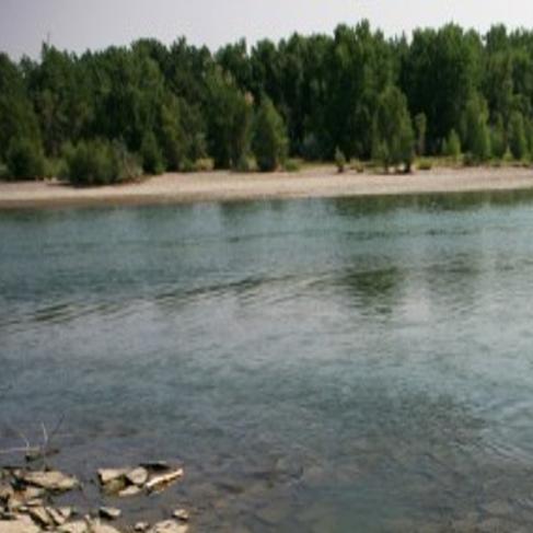 Autos From Detroit S Glory Days Transform Along Yellowstone River Banks Local News Billingsgazette Com