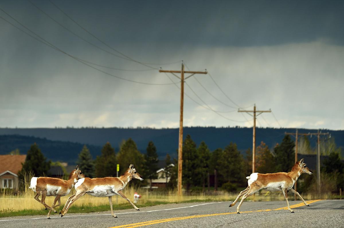 STORM CHASERS