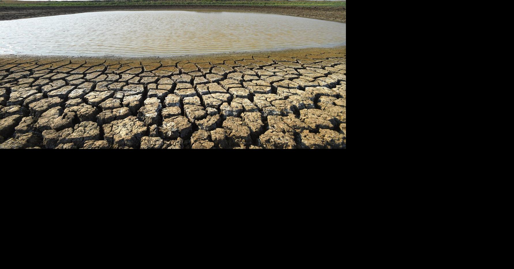Montana Gov. Gianforte declares Sunday a 'Day of Prayer for Rain' amid worsening drought