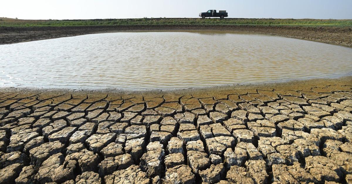 Montana Gov. Gianforte declares Sunday a 'Day of Prayer for Rain' amid worsening drought