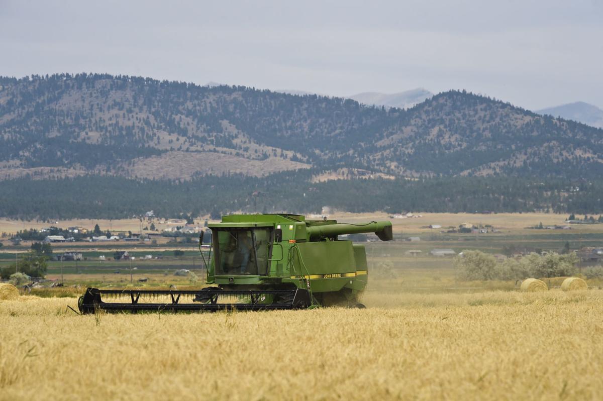 Helena Valley farmer Joe Dooling harvests the last of his barley crop