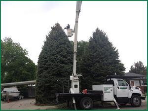 Bucket-truck.jpg