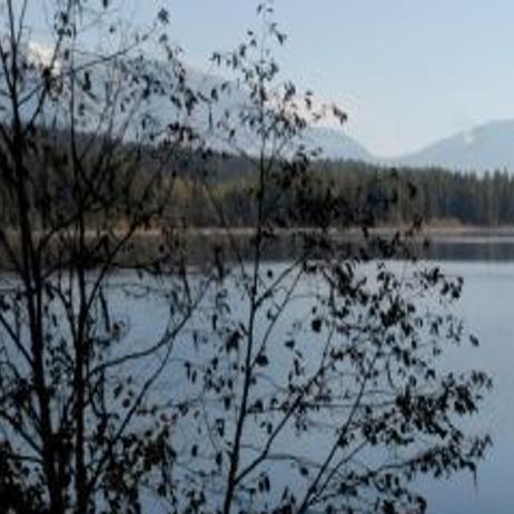 Testing Shows Walleye Were Illegally Introduced To Swan Lake