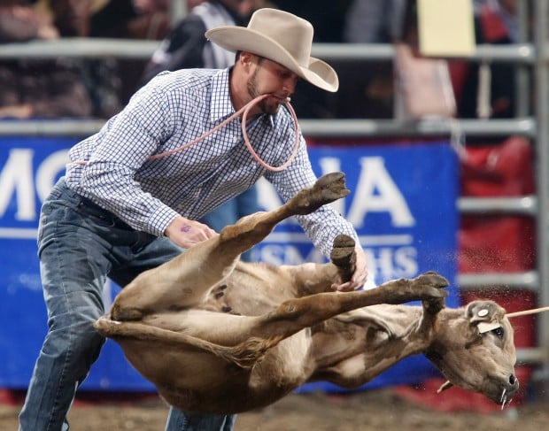 Steer Roping Debuts At Montanafair Rodeo