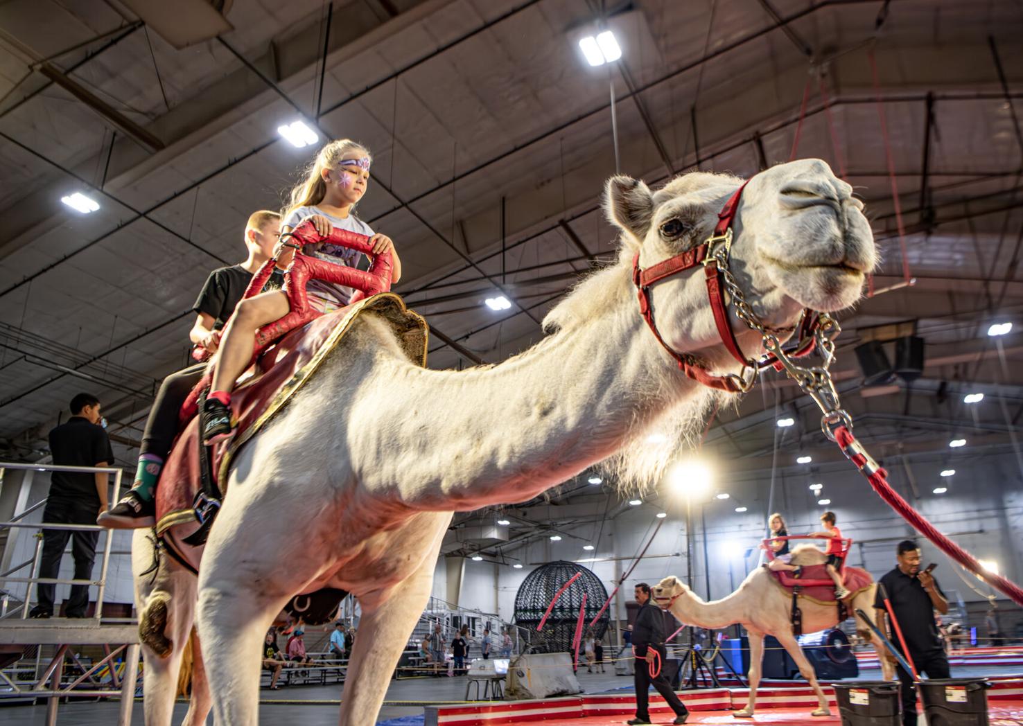 Jordan World Circus in Billings Montana