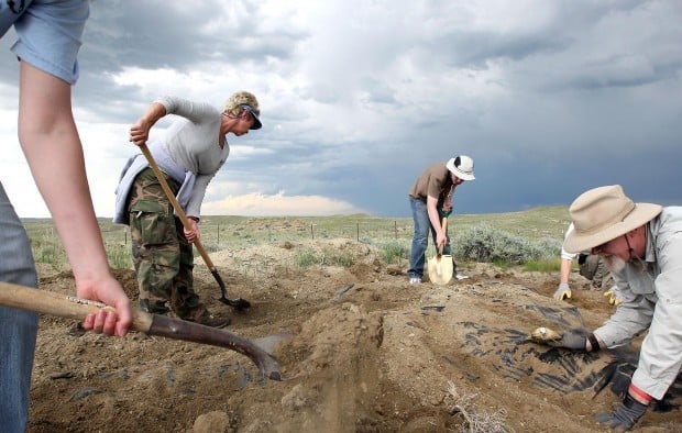 t rex dig sites