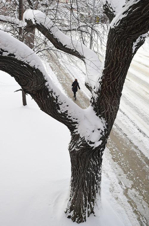 Billings Snowfall Above Average After Getting More Than A Foot