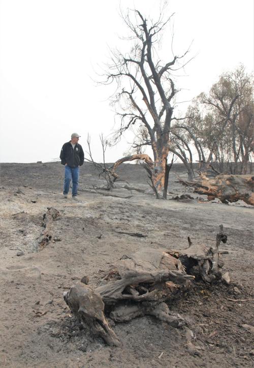 Charred