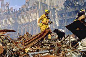 World Trade Center Terrorist Attack 9/11