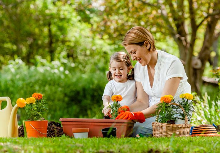 Family potting flowers in the garden