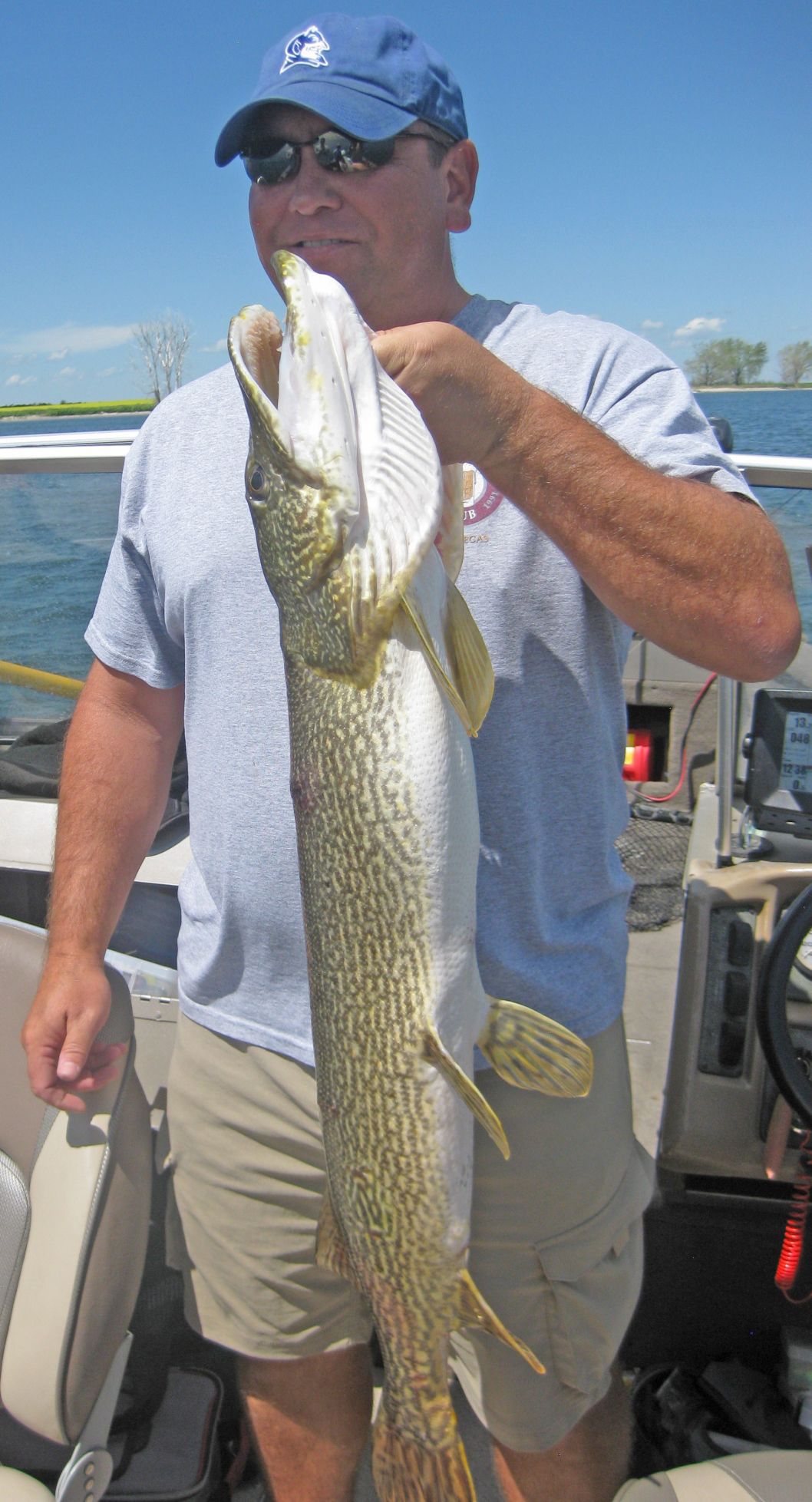 Rod Kastelitz